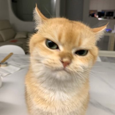 ffssanie's profile picture. still around