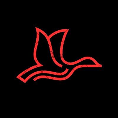 ZazuLens's profile picture. Zazu provide clear,  evidence-based guidance for working class people