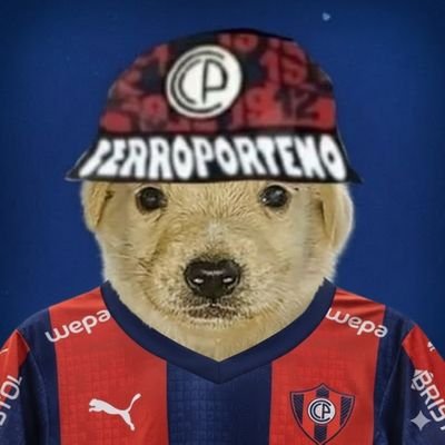 PerroCerrista's profile picture.