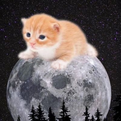 RachTheNerd_'s profile picture. Not sure what to write here, but I guess I'm alright. 😆