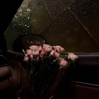 Amalalateeq1's profile picture. استبشر خيراً سيأتيك أجمل مما تتخيل ✨