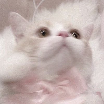 waemw9's profile picture. 