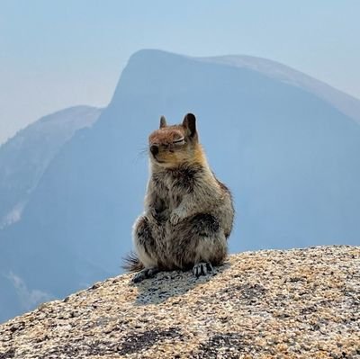 smilingizzygirl's profile picture. 