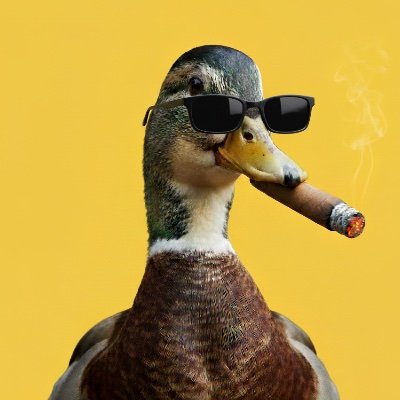 8ShikharSingh's profile picture. not another cracked dev