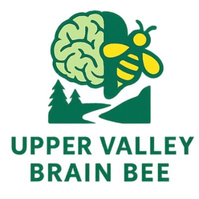 UVBrainBee's profile picture. A hands-on neuroscience fair and a fun, interactive brain trivia competition! Hosted by Dartmouth College graduate students and faculty.