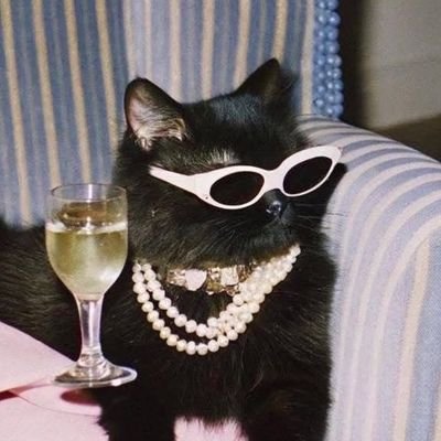 peterparcoeur_'s profile picture. Look, I didn't want to be a half-blood.