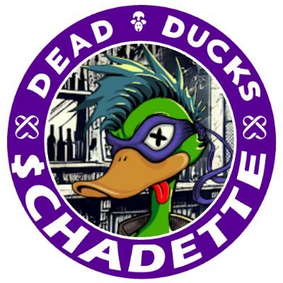 @chaseweb