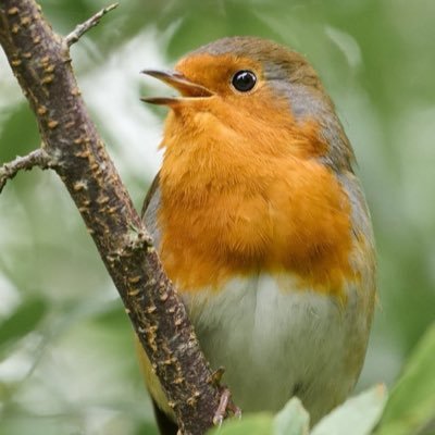 algm97000614's profile picture. My hope is the Father, my refuge is the Son, my protection is the Holy Spirit. O Holy Trinity, Glory to Thee ☦️