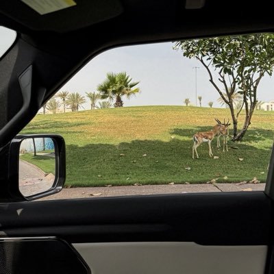 reemi28_97's profile picture. 