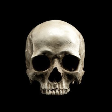 Patriot1349's profile picture. A really sweet fella