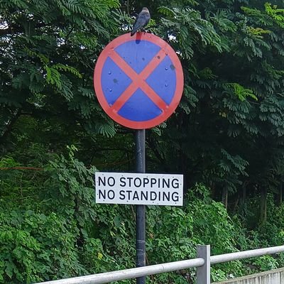 AbhishekjiY's profile picture. I like Helping others. Nation First 🇮🇳