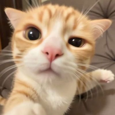 Yutiwittieee's profile picture. ** เปลี่ยนโปรไฟล์ตามเมน **
ᴊᴜɴɢ ᴘᴇʀꜱᴇꜱ.ᴅᴀᴏᴜ ᴘɪᴛᴛᴀʏᴀ.ᴡɪʟʟɪᴀᴍ ʟʏᴋɴ.ɢᴜɴ ᴘʀᴏxɪᴇ.ɴᴇx ᴛʜᴀɪ ᴀᴀ ʙᴜꜱ.ᴊᴇᴛ ᴀᴛʟᴀꜱ.ɴᴇᴡᴡɪᴇᴇ.ᴛᴀʏ ᴛᴀᴡᴀɴ.ᴊɪᴍᴍʏ ᴊɪᴛᴀʀᴀᴘʜᴏʟ.ɢʀᴇᴀᴛ ꜱᴀᴘᴏʟ