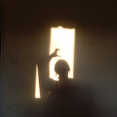 peackfinger's profile picture. akun ini pernah hampir dijual
