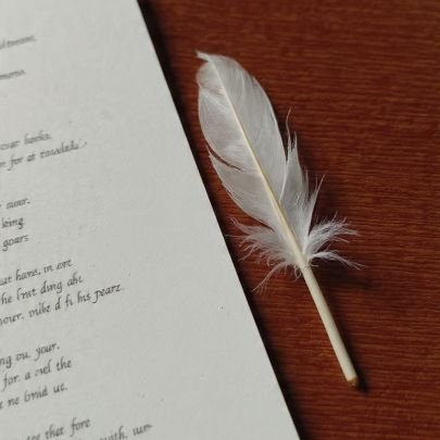 MedranoGaray_05's profile picture. Mi mundo es de palabras y emociones entrópicas. 🪶