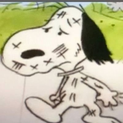 aaroncitoyyu's profile picture. 💘