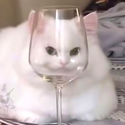 ttiraten21's profile picture. Fashion designer. personal account ✨𝟣𝟢𝓋𝑒𝓁𝓎 //HYUNJIN SKZ //PoohPavel // PPoohkt.Pavelphoom