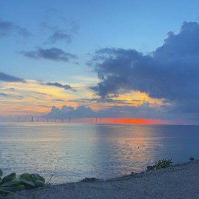 Micz1210281's profile picture. 