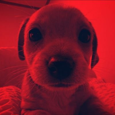 a_alilyce's profile picture. ୧ No one ever had much 𝙣𝙞𝙘𝙚 to say . . .  I think they never 𝙡𝙞𝙠𝙚𝙙 you 𝙖𝙣𝙮𝙬𝙖𝙮 ও