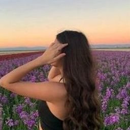 Plooopva01731's profile picture. 