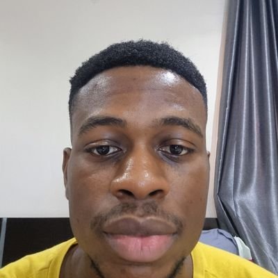 uchennacodes's profile picture. Web dev - Next.js and React. Mobile dev - Flutter(dart). JS is the greatest.