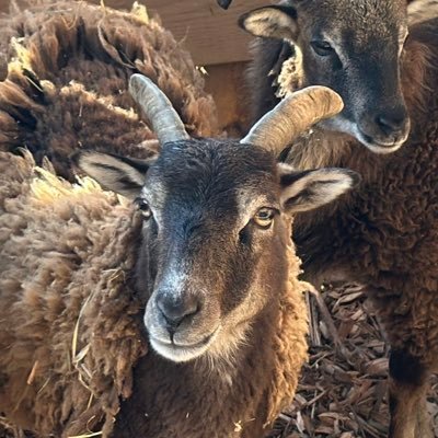 PubPlanPosting's profile picture. TGIF Enjoyer Semi Rural CAFO operator