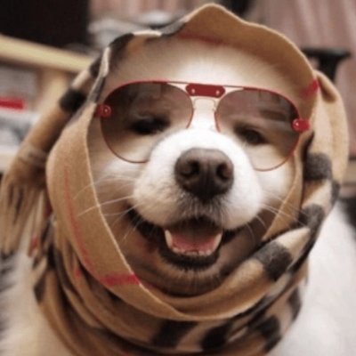 Jakubalski's profile picture. 