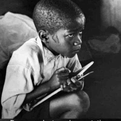 Soibi_Wingman's profile picture. I'm ready to learn