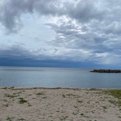 alty98HeWy39348's profile picture. 