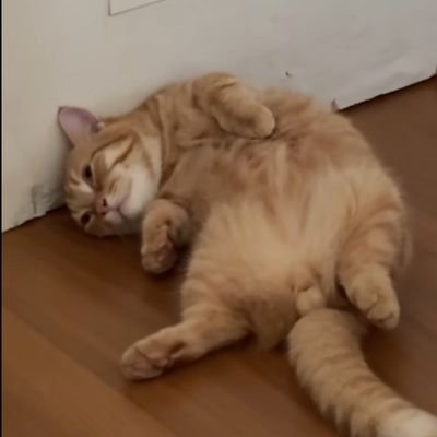 hildoingwell's profile picture. hihanghoheng