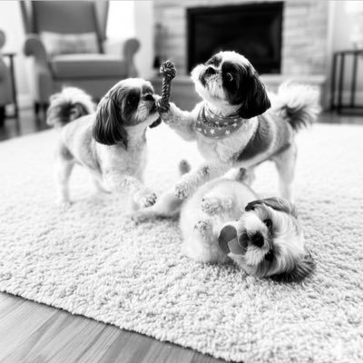 Pat_Orgirl's profile picture. Marketing Expertise