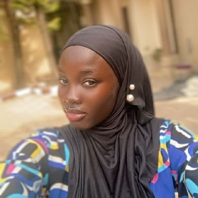 ayomide54733's profile picture. # pythonNewbie, # 100Daysofcode l Future web Dev ๐ป