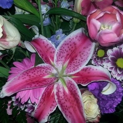 strawskiesss's profile picture. studytwt (mostly yapping)📑🗂️🚶🏻‍♀️| last year of shs