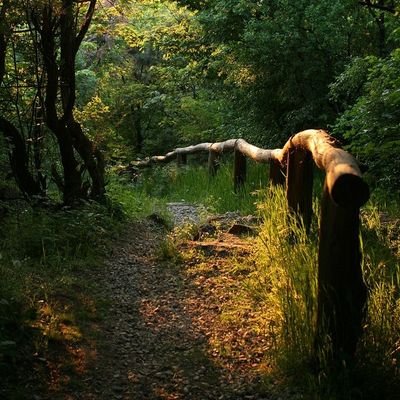 Unknown_Way_'s profile picture. NO DM 🪐 El silencio es mi maestro y el amor se hace cuando nos tocamos la Luna ✨