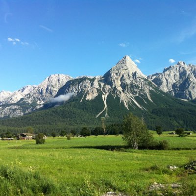 hneicherii's profile picture. 