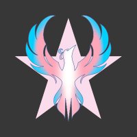 Trans Liberation Group (@translibgroup) 's Twitter Profile