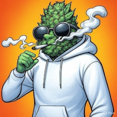 jerrica26239's profile picture. Cada vez es más dificil conseguir buen material y tu lo sabes 

SIguenos en telegram para que no pierdas  nuestra cuenta  👇