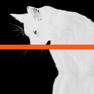 hdjetty's profile picture. crypto lad