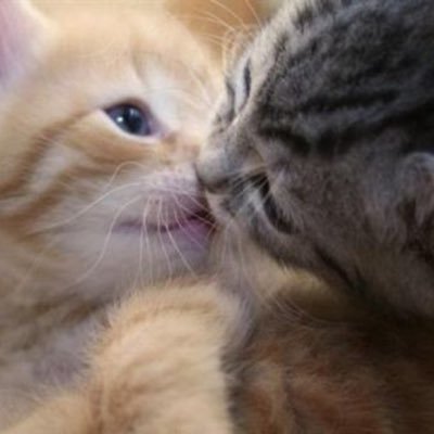 notluna33's profile picture.