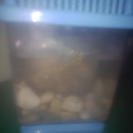 manuelocam99070's profile picture.
