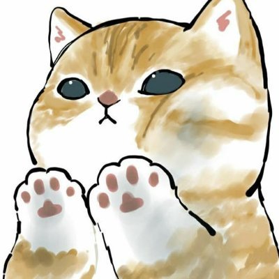 80808DG's profile picture.