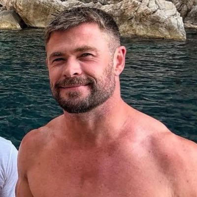 thorscardigan's profile picture. gay boy that don’t play about chris hemsworth | taylor swift and niall horan supremacy | alan ritchson protector | diehard pokemon and kirby stan | lego artist
