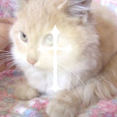 skilletthethird's profile picture. 💤 under construction