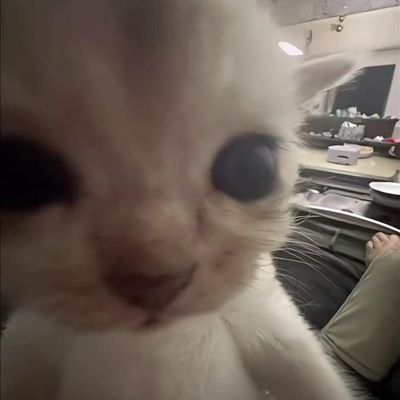 ierriess's profile picture. هذره