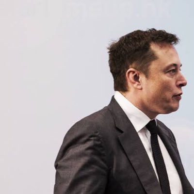 elonmusk0192813's profile picture.