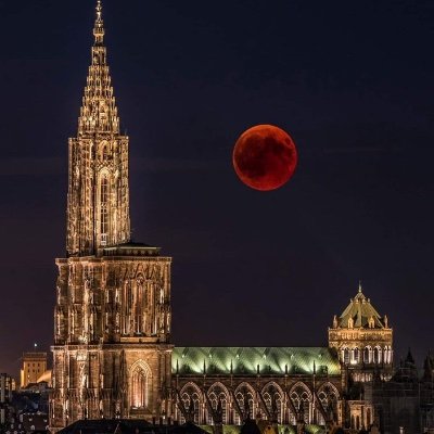 MsLibertarian70's profile picture. I’m just a woman with moderate political views who loves cats, chocolate, and coffee.