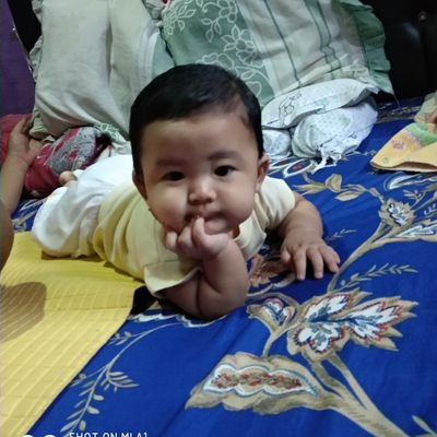 traderbener's profile picture. - Learn to be a traderbener
- Trade with Online Funded Program
- a Father