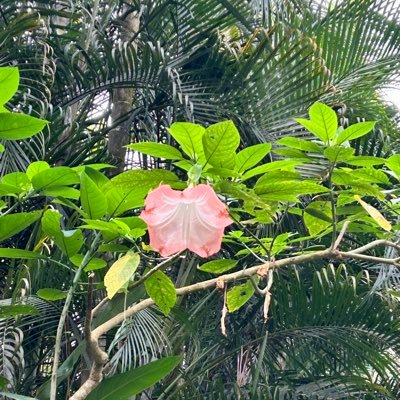 gonegirlisback's profile picture. You can’t talk a butterfly language to caterpillar people.
