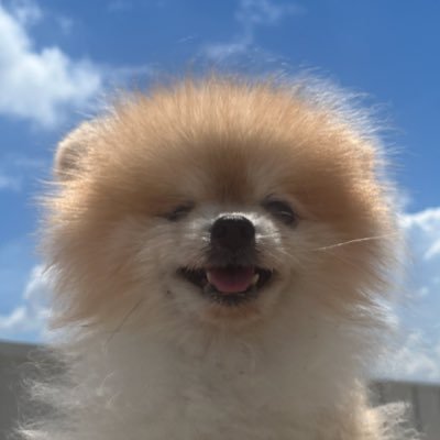 ACE_Korason's profile picture. #babyfeat