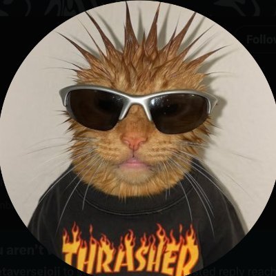 codedcycle's profile picture. see you on the blockchain :)