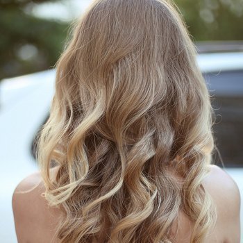 DaisysRescue's profile picture. Make America Great Again.Trump is my president#MAGA 🇺🇸 🇺🇸 🇺🇸